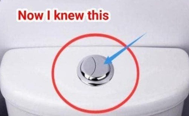 Many People Still Think That These Two Buttons Are Just for Flushing