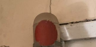 You’ll Never Guess What Gorgeous, Antique Masterpiece Doubles As A Lifesaver!