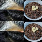 Natural Hair Darkening Remedy: Cloves and Garlic