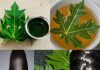 Turn White Hair to Black Naturally and Grow Long Hair with Papaya Leaves Overnight