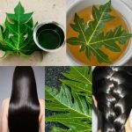 Turn White Hair to Black Naturally and Grow Long Hair with Papaya Leaves Overnight