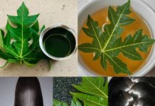 Turn White Hair to Black Naturally and Grow Long Hair with Papaya Leaves Overnight