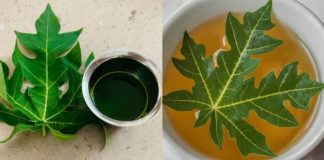 Turn White Hair to Black Naturally and Grow Long Hair with Papaya Leaves Overnight