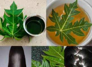 Turn White Hair to Black Naturally and Grow Long Hair with Papaya Leaves Overnight