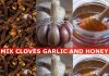 Cloves, Garlic, and Honey: A Potent Natural Remedy