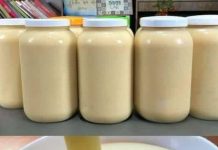 Homemade Sugar-Free Condensed Milk with 3 Ingredients