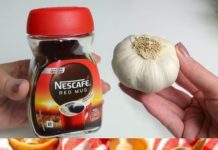 Coffee Mix Will Leave You Speechless! Garlic, Honey, and Coffee – A Health-Boosting Brew!