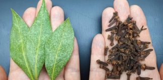 Mix Bay Leaf and Clove Together and You Will Thank Me for This Recipe!