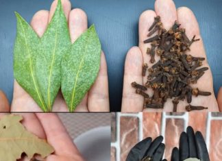 Mix Bay Leaf and Clove Together and You Will Thank Me for This Recipe!
