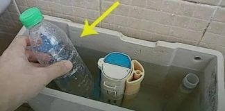Put a Plastic Bottle in the Toilet Tank!!!