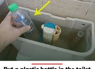 Put a Plastic Bottle in the Toilet Tank!!!