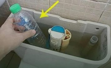 Put a Plastic Bottle in the Toilet Tank!!!