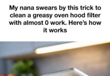 Transform Your Greasy Oven Hood Filter with This Effortless Cleaning Hack