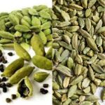 Discover the Health Benefits of Cardamom: Try Just Two Pods a Day for 15 Days
