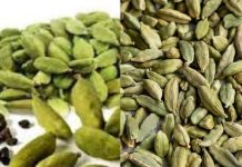 Discover the Health Benefits of Cardamom: Try Just Two Pods a Day for 15 Days