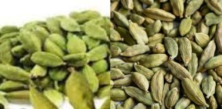Discover the Health Benefits of Cardamom: Try Just Two Pods a Day for 15 Days