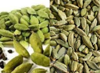 Discover the Health Benefits of Cardamom: Try Just Two Pods a Day for 15 Days