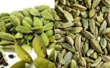 Discover the Health Benefits of Cardamom: Try Just Two Pods a Day for 15 Days