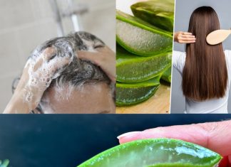 hair grows like crazy and stops falling out the magic of aloe vera for hair