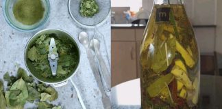 Even at 65, Still Black and Thick Hair? Just 2 Ingredients: Rosemary and Bay Leaves!