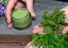 Elixir of Youth: Parsley Tightens Skin and Instantly Smoothes Wrinkles!