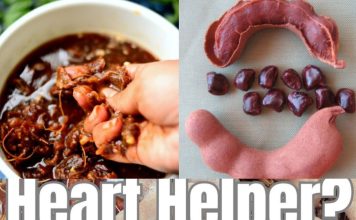 What is Tamarind?