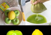 Green Apple and Lemon Remedy: A Natural Solution for Persistent Cough