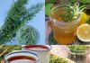 What Happens When You Drink Rosemary Tea for 15 Days?