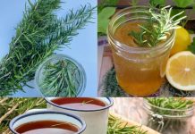 What Happens When You Drink Rosemary Tea for 15 Days?