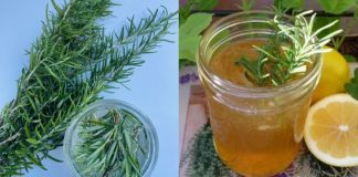 What Happens When You Drink Rosemary Tea for 15 Days?