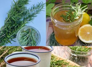 What Happens When You Drink Rosemary Tea for 15 Days?
