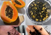 How to Eat Papaya Seeds: A Guide to Their Benefits and Safe Usage