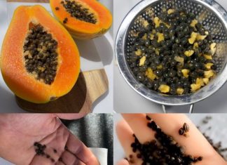 How to Eat Papaya Seeds: A Guide to Their Benefits and Safe Usage