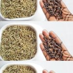 Mixing Rosemary with Cloves: A Secret No One Will Ever Tell You, Thank Me Later