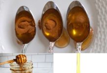 5 Reasons to Use Honey and Cinnamon: A Potent Natural Combo