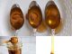 5 Reasons to Use Honey and Cinnamon: A Potent Natural Combo