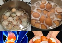 Eggshell Remedy for Knee and Bone Pain: A Surprising Natural Solution