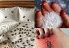 How to remove dust mites and bed bugs from your mattress naturally