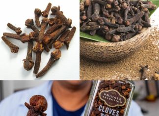 4 Secret Uses of Clove Spice You Need to Know