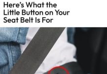 Do You Know What That Little Button on Your Seat Belt Is For?
