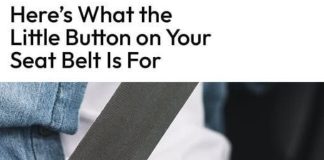 Do You Know What That Little Button on Your Seat Belt Is For?