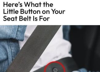 Do You Know What That Little Button on Your Seat Belt Is For?