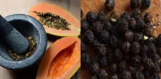 Papaya Seeds: Nature’s Underrated Superfood