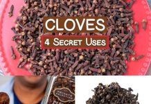 4 Secret Uses of Clove Spice