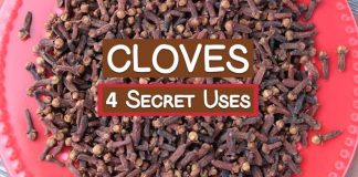 4 Secret Uses of Clove Spice