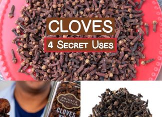 4 Secret Uses of Clove Spice