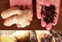 Mix Ginger with Cloves, and You’ll Thank Me for This Recipe!
