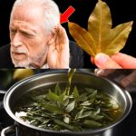 Managing Labyrinthitis Symptoms with Natural Remedies: The Role of Bay Leaves