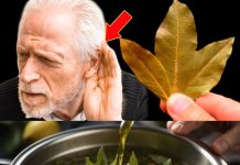 Managing Labyrinthitis Symptoms with Natural Remedies: The Role of Bay Leaves