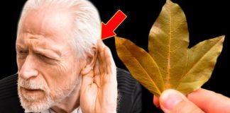 Managing Labyrinthitis Symptoms with Natural Remedies: The Role of Bay Leaves